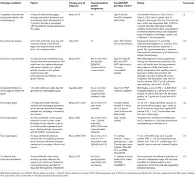 Clinical Toxoplasmosis in Dogs and Cats: An Update